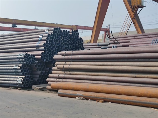 IMG_20230401_153924.jpg IMG_20230401_153924.jpg